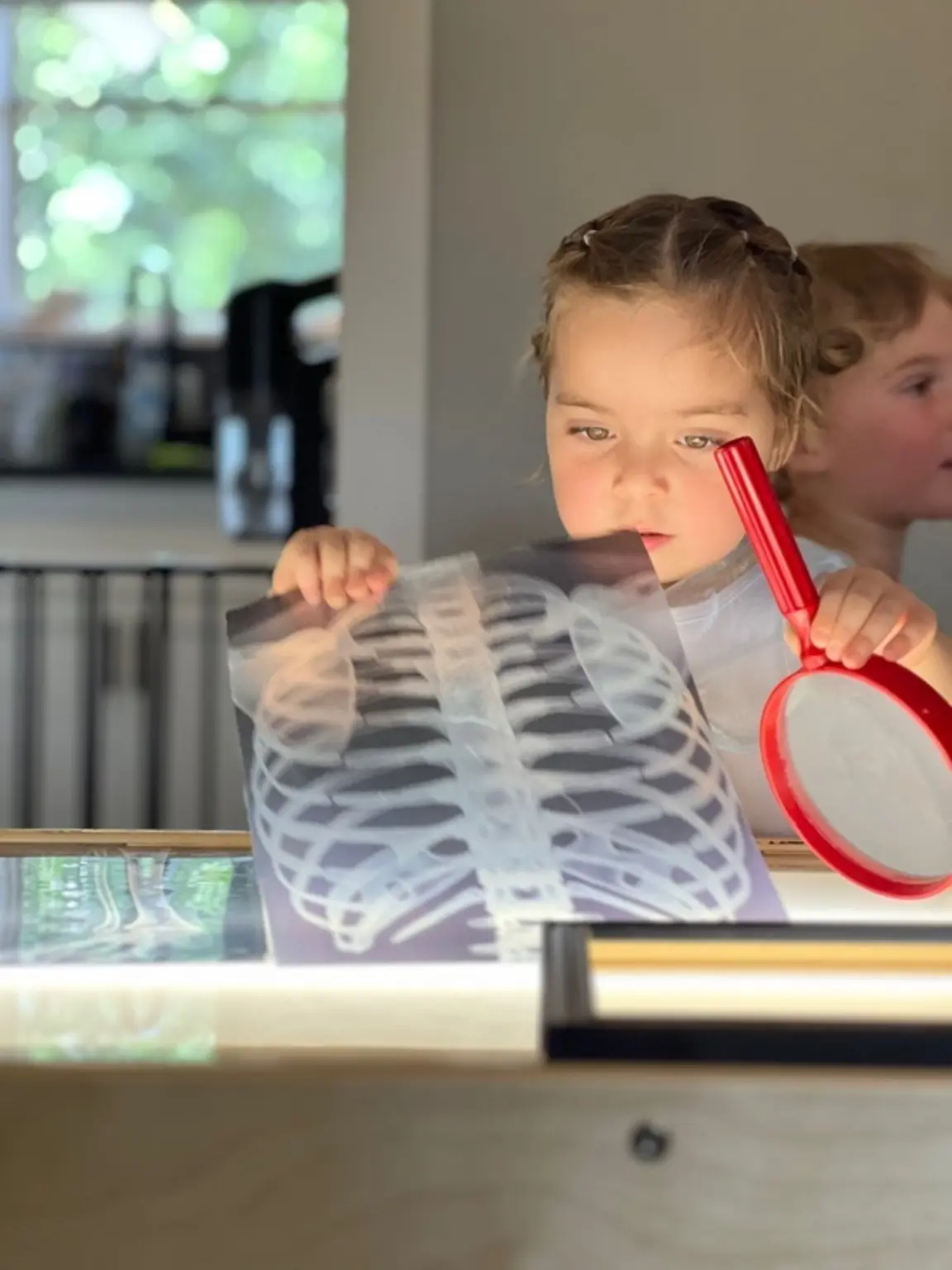 A Mockingbird preschooler investigating an X-ray with a magnifying glass at the light table